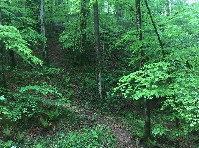 Le Du Poire Casa de Férias